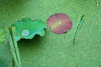 《无光之地：增强版》现已发售 年内登陆主机平台